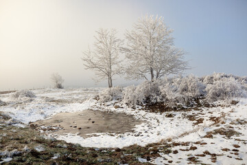Sunrise light in the mist on top of Mont Saleve, Haute-Savoie, France