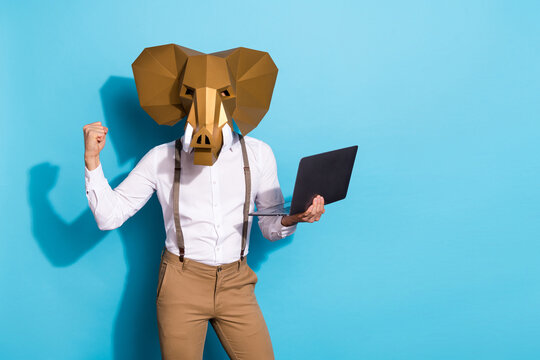 Photo of strange lucky man wear elephant reading modern gadget rising fist empty space isolated blue color background