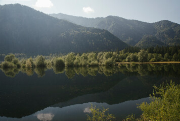 Misty Summer atmosphere at flooded Lake Lödensee in the Bavarian alpine upland beside Ruhpolding...