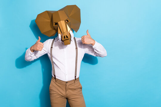 Photo of confident strange guy dressed wild animal mask two thumbs up empty space isolated blue color background.