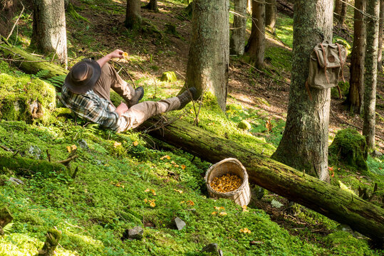 Senior mushroom picker relaxing in forest with basket full ofchantarelles