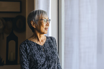 Thoughtful Woman By Window At Home