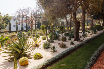 Landscaping and various plants in the Bahai Garden
