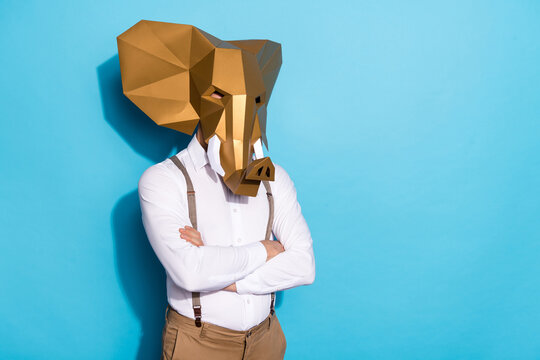 Photo of funky confident guy dressed wild animal mask arms crossed empty space isolated blue color background