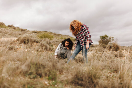 Women planting acorns to reforest