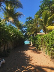 praia caraiva