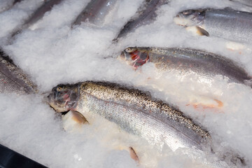 The a fresh salmon on ice at a fish market.Close-up.
