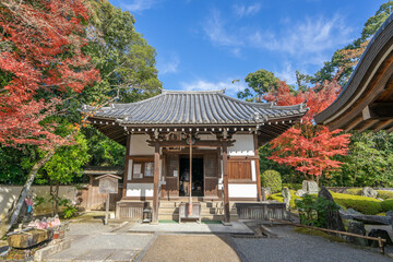 Fototapeta premium 泉湧寺