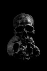 Human skeleton skull head isolated on black