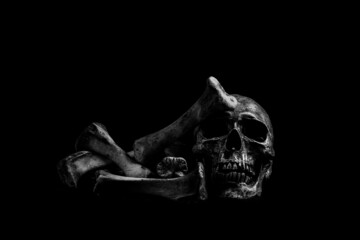 Human skeleton skull head isolated on black