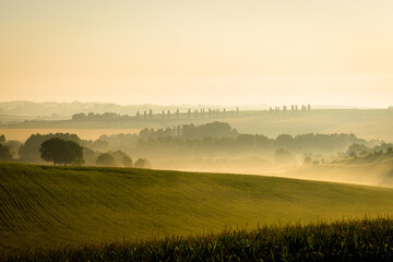 Fototapeta na wymiar Misty landscape in the morning