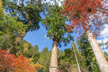 由岐神社