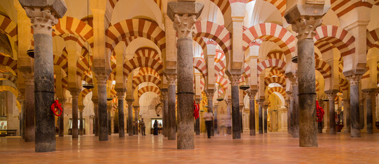 Fototapeta premium Arches within the Prayer Hall