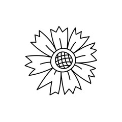 Sunflower decoration. Drawing for design, logo, postcard, decor, social media, web, textiles, prints, coloring. Vector illustration in doodle style isolated on background.