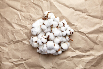 White cotton plant flowers on crumpled craft paper background