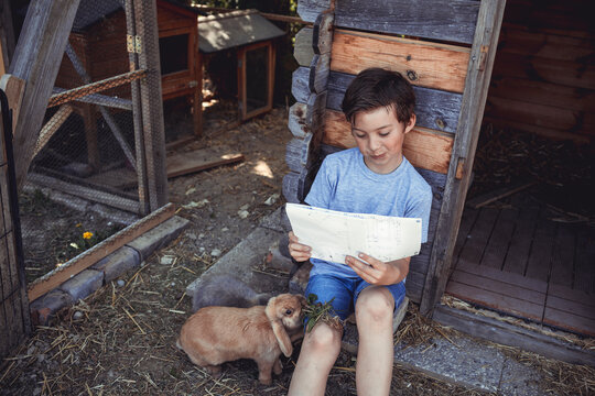 Boy reading plan by rabbit in back yard