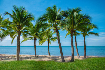 Palm trees on the beach against clear skies in the tropical seas of Thailand.