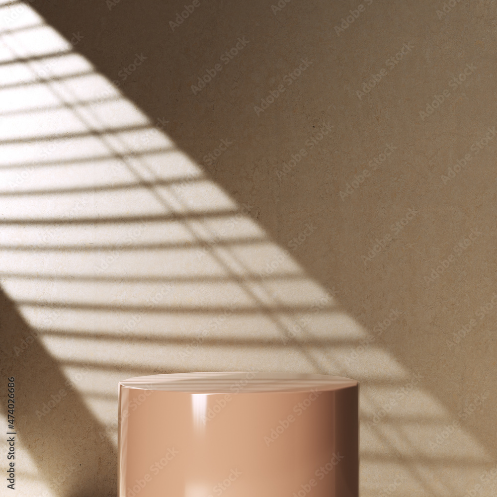 Poster shadow window blinds empty room wall 3d rendering, product display minimal abstract scene.