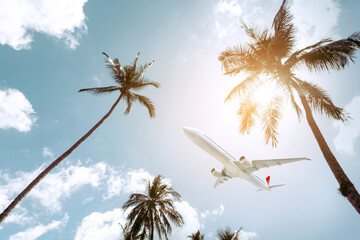 The Airplane is going to the tropical sea. for travel and vacation in summer
