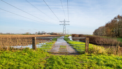 Dutch scenery, a farmland with a fence in front and  power lines and utility poles and farm houses in the distance.