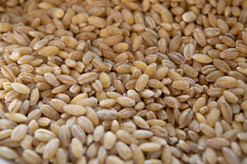pearl barley