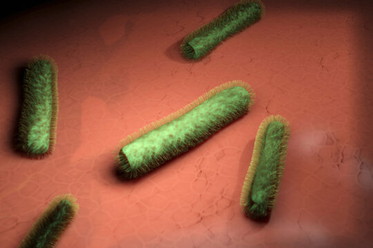 Three dimensional render of green bacteria on human tissue