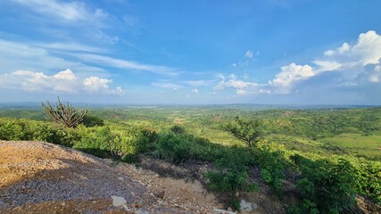landscape in the summer