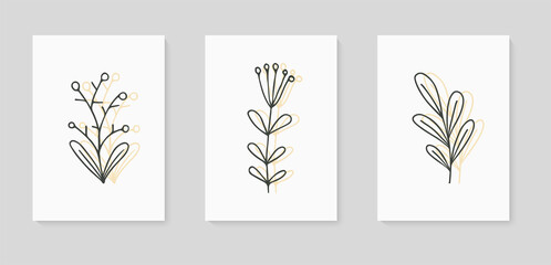 Set of illustrations of plants. Decorative beauty elegant illustration for design Vector flower Botanical. Black and white and colorful