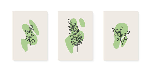 Set of illustrations of plants. Decorative beauty elegant illustration for design Vector flower Botanical. Black and white and colorful