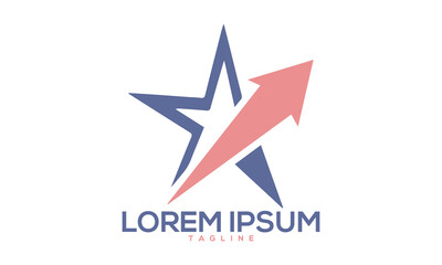 Unique star logo Modern and minimalist vector and abstract logo