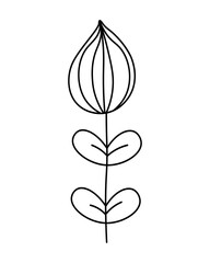 Flower line decoration. Drawing for design, logo, postcard, decor, tattoo. Herbal tea. Vector illustration in doodle style isolated on background.