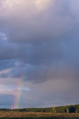 Fototapeta na wymiar rainbow over the field