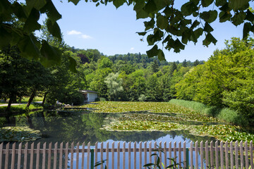 Fototapeta premium Selective blur on Ribnik, the Tivoli garden fish and duck pond, a small lake in Tivoli park, the main city garden of the slovenian capital city in Ljubljana, Slovenia.....