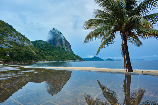 Reflexos Na Praia Vermelha