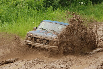 truck in the field