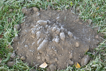 Fototapeta premium earthen slide from a mole