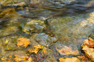 autumn leaves on the rocks in the stream