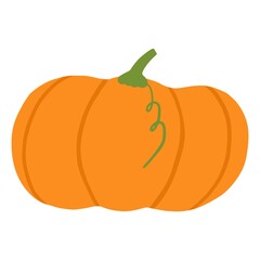Cartoon pumpkin icon