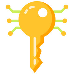 key flat icon