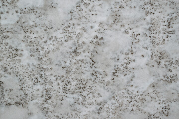 Surface of muddy snow for backdrop. Dark spots on white snow.