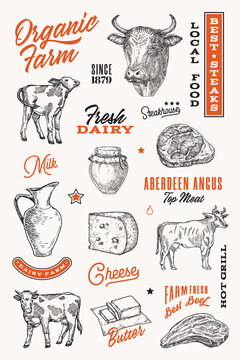Organic farm hand drawn symbols and illustrations with typography compositions. Dairy and meat slhouette signs with cows, beef steaks, cheese and milk collection Butchery design elements set