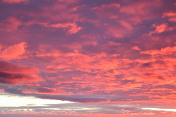 Naklejka na ściany i meble red sunset sky
