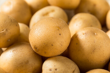 Raw Yellow Organic Baby Potatoes