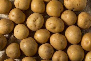 Raw Yellow Organic Baby Potatoes