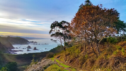 Fototapeta na wymiar Autumn landscape. Trees with yellow leaves on a mountain slope, a path along the edge of a cliff against the background of the sea coast with rocks in the water