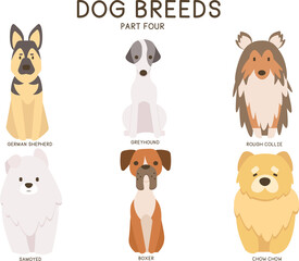 A vector set of Dog Breeds (part four): German Shepherd, Greyhound, Rough Collie, Samoyed, Boxer, Chow Chow. 