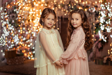 two beautiful girls in elegant dresses with hairstyles at home near the Christmas tree on the background of lights