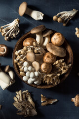 Fototapeta na wymiar Raw Organic Assorted Gourmet Mushrooms