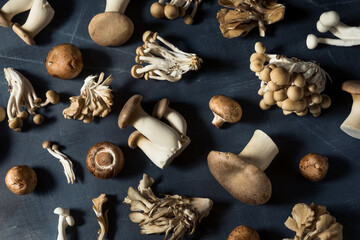 Raw Organic Assorted Gourmet Mushrooms