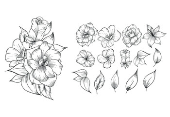 set of beautiful line art rose flower arrangement